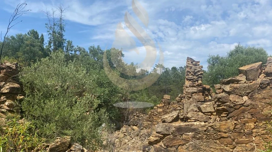 Terreno para Venda em Salir