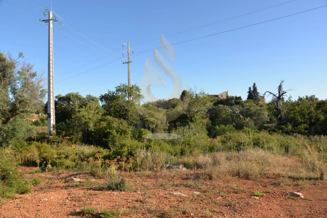 Terreno Agricola ou Rústico para Venda em Quelfes Foto 3