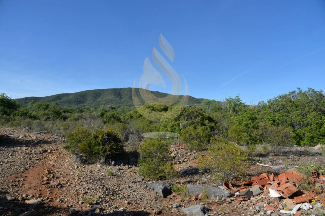 Terreno Agricola ou Rústico para Venda em Conceição e Estoi Foto 2
