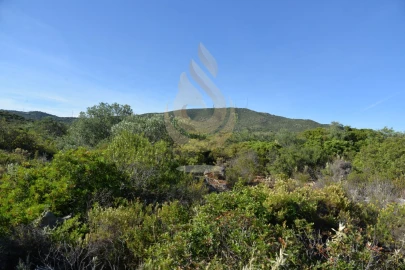 Terreno Agricola ou Rústico para Venda em Conceição e Estoi