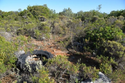 Terreno Agricola ou Rústico para Venda em Conceição e Estoi