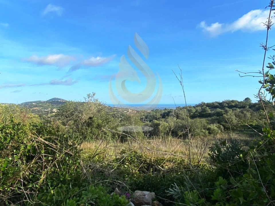 Terreno para Venda em Conceição e Estoi Foto 2