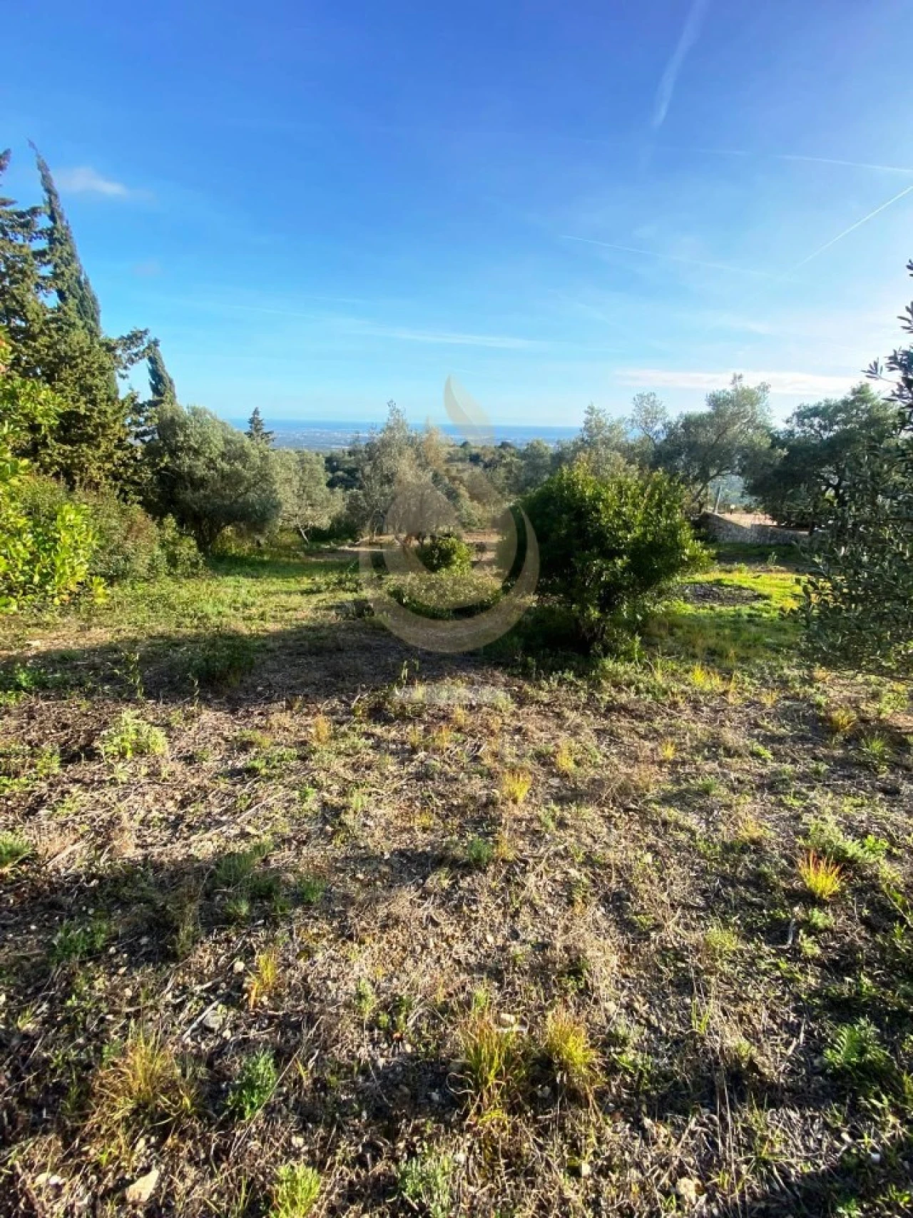 Terreno para Venda em Conceição e Estoi Foto 5