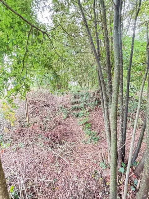 Terreno para Venda em Lobão, Gião, Louredo e Guisande