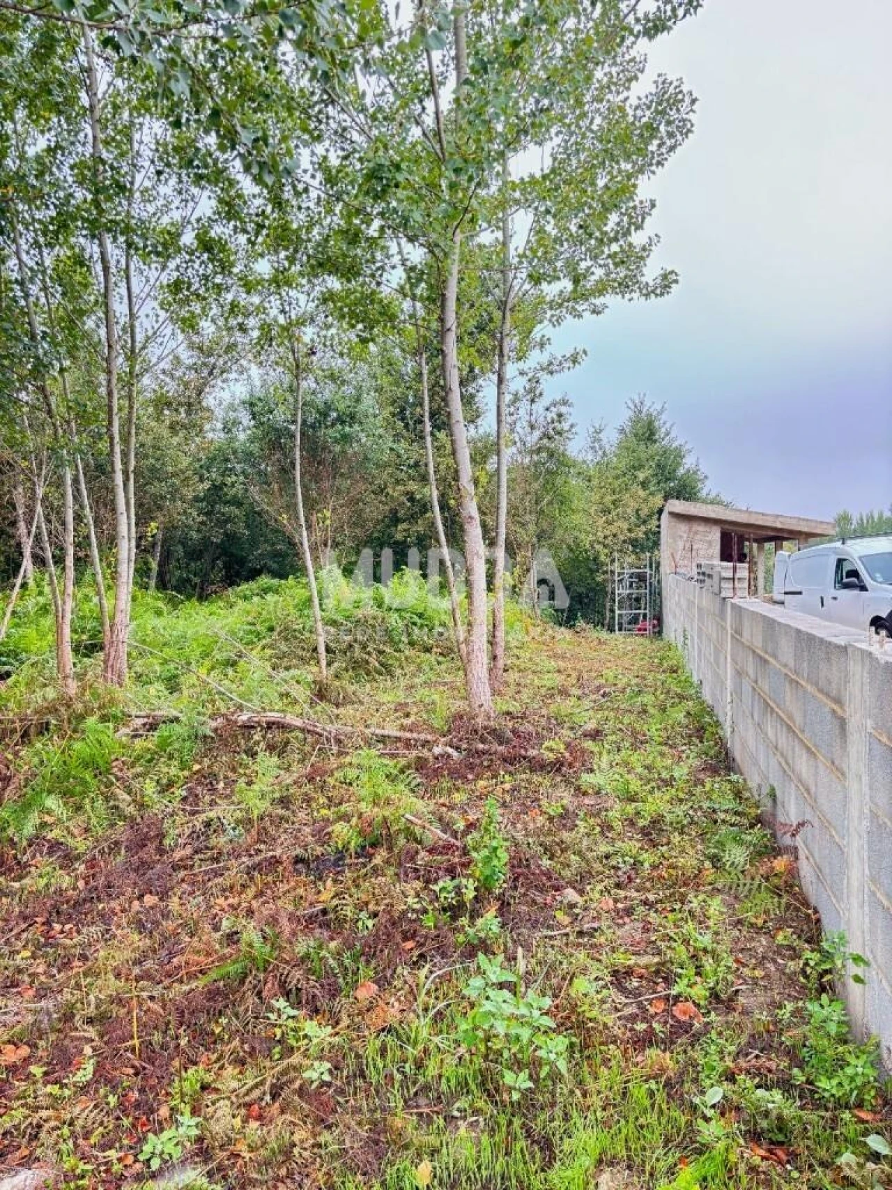 Terreno para Venda em Lobão, Gião, Louredo e Guisande Foto 10