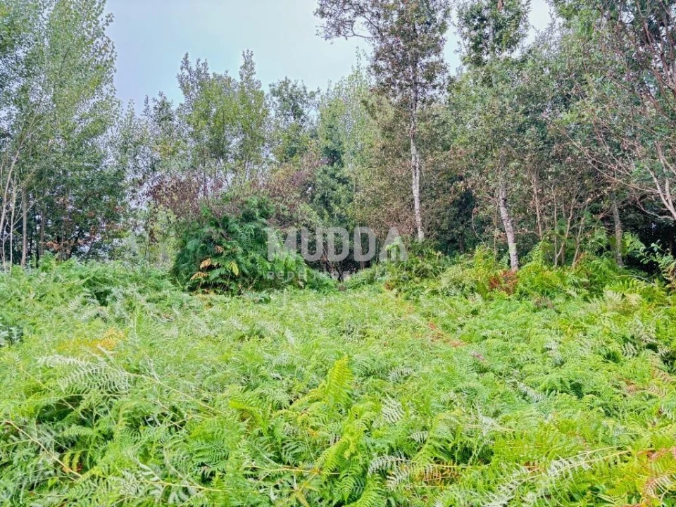 Terreno para Venda em Lobão, Gião, Louredo e Guisande Foto 11