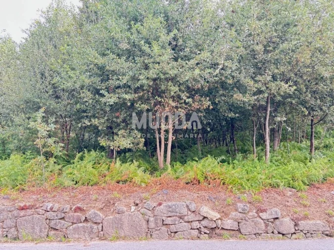 Terreno para Venda em Lobão, Gião, Louredo e Guisande Foto 9