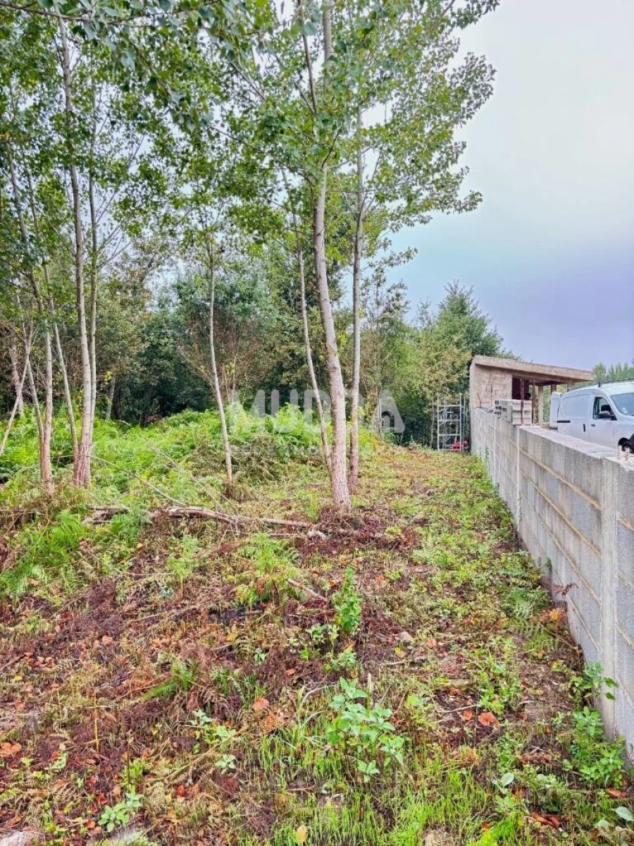 Terreno para Venda em Lobão, Gião, Louredo e Guisande Foto 10