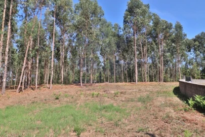 Terreno para Venda em Pico de Regalados, Gondiães e Mós