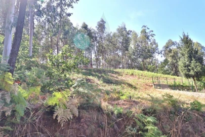 Terreno para Venda em Pico de Regalados, Gondiães e Mós