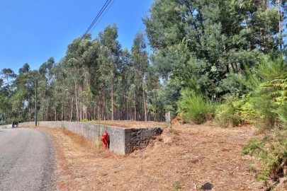 Terreno para Venda em Pico de Regalados, Gondiães e Mós