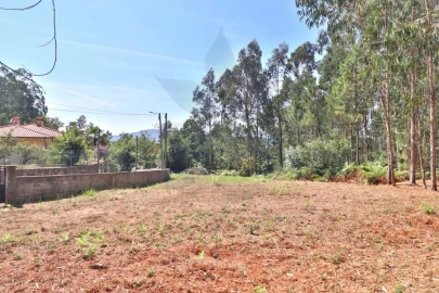 Terreno para Venda em Pico de Regalados, Gondiães e Mós