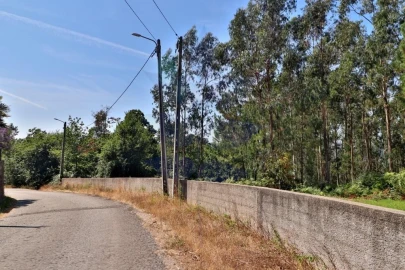 Terreno para Venda em Pico de Regalados, Gondiães e Mós