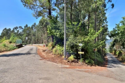Terreno para Venda em Pico de Regalados, Gondiães e Mós