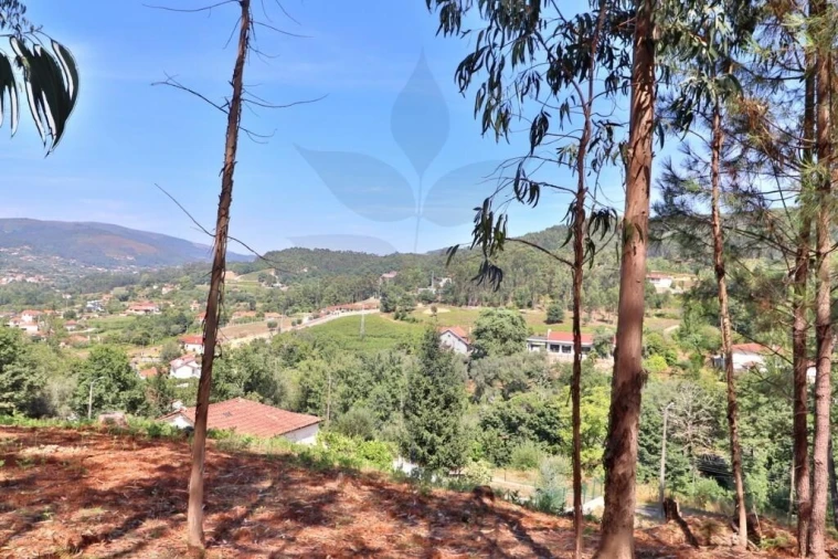 Terreno para Venda em Pico de Regalados, Gondiães e Mós Foto 16