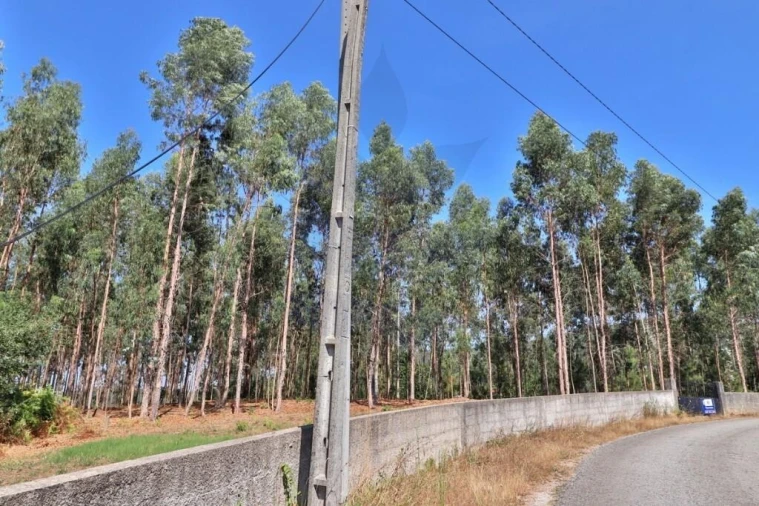 Terreno para Venda em Pico de Regalados, Gondiães e Mós Foto 4