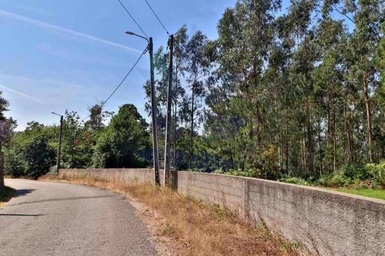 Terreno para Venda em Pico de Regalados, Gondiães e Mós Foto 3