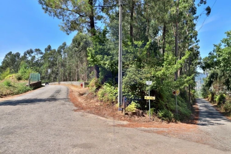 Terreno para Venda em Pico de Regalados, Gondiães e Mós Foto 6
