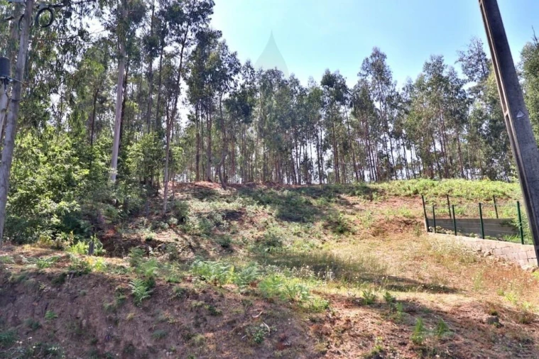 Terreno para Venda em Pico de Regalados, Gondiães e Mós Foto 24