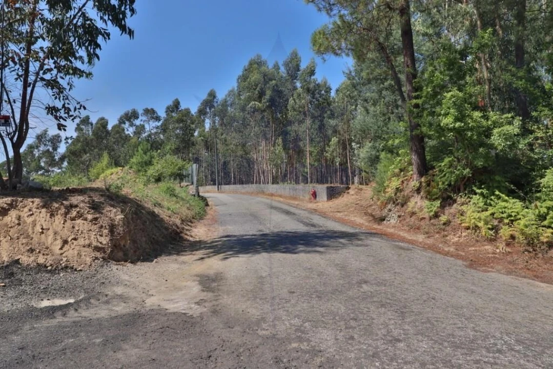 Terreno para Venda em Pico de Regalados, Gondiães e Mós Foto 5