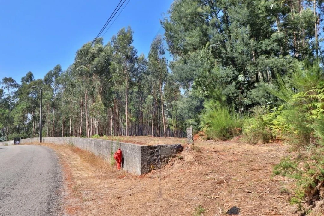 Terreno para Venda em Pico de Regalados, Gondiães e Mós Foto 7