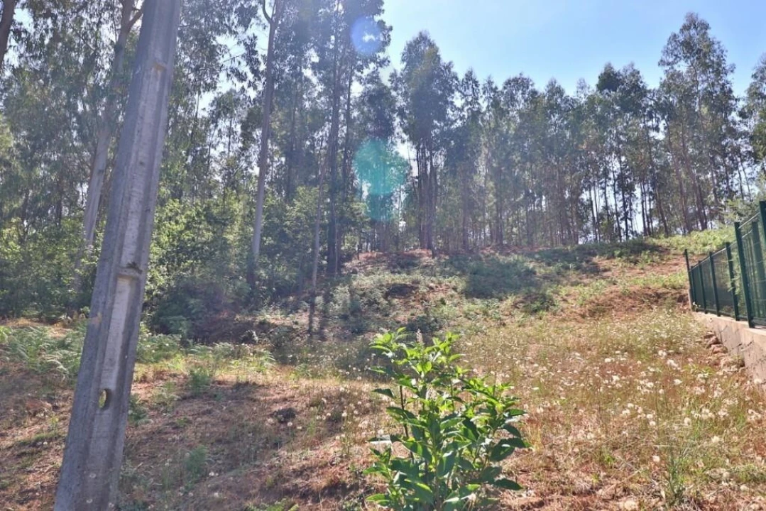Terreno para Venda em Pico de Regalados, Gondiães e Mós Foto 23