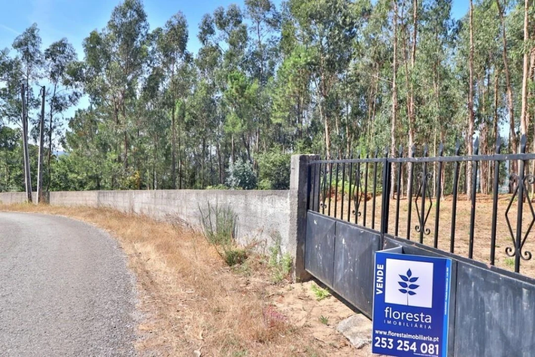 Terreno para Venda em Pico de Regalados, Gondiães e Mós Foto 1