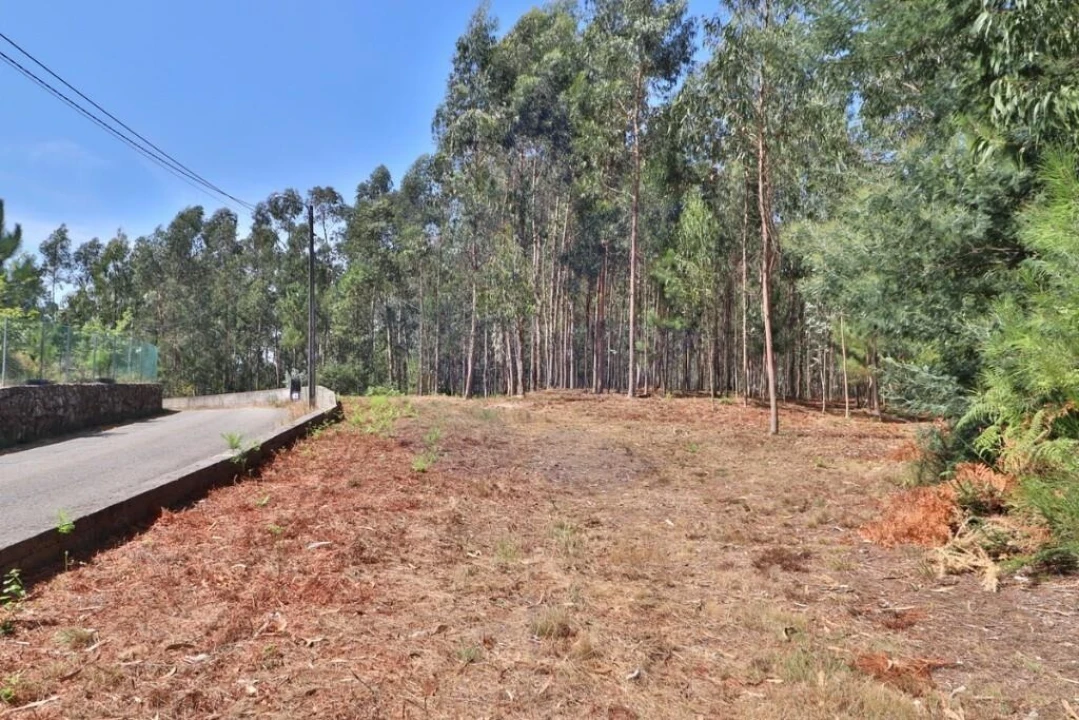 Terreno para Venda em Pico de Regalados, Gondiães e Mós Foto 8