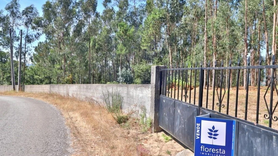 Terreno para Venda em Pico de Regalados, Gondiães e Mós