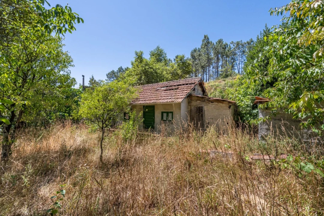 Moradia para Venda em Agilde Foto 5