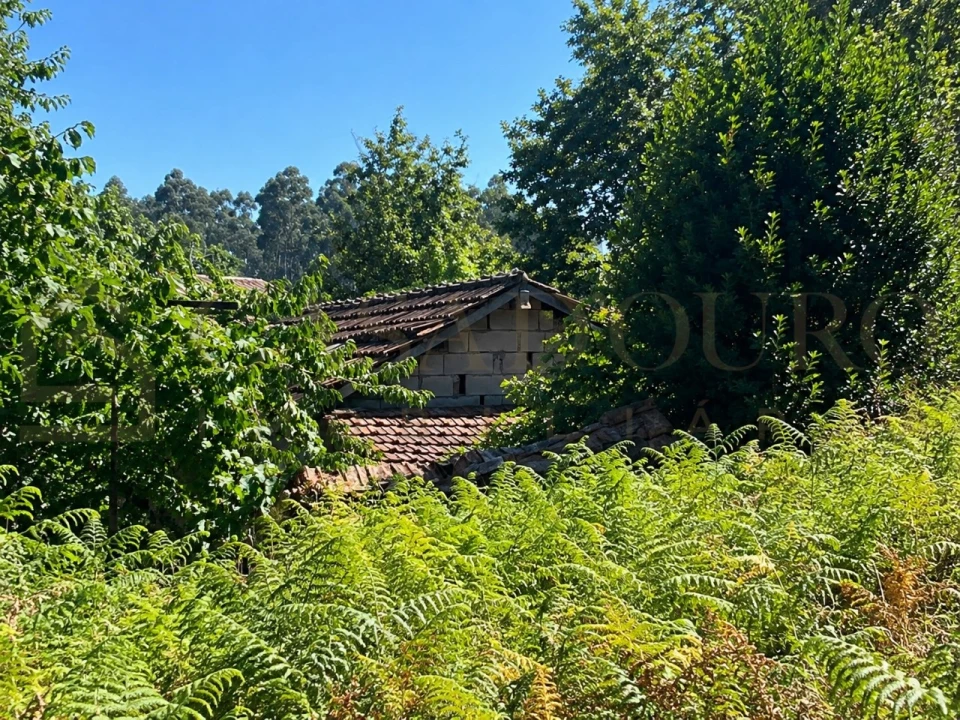Moradia para Venda em Agilde Foto 6