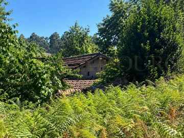 Moradia para Venda em Agilde