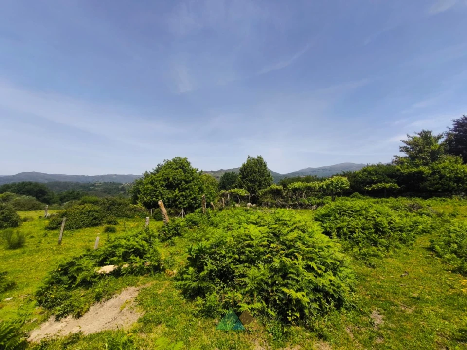 Terreno para Venda em Cabana Maior Foto 4