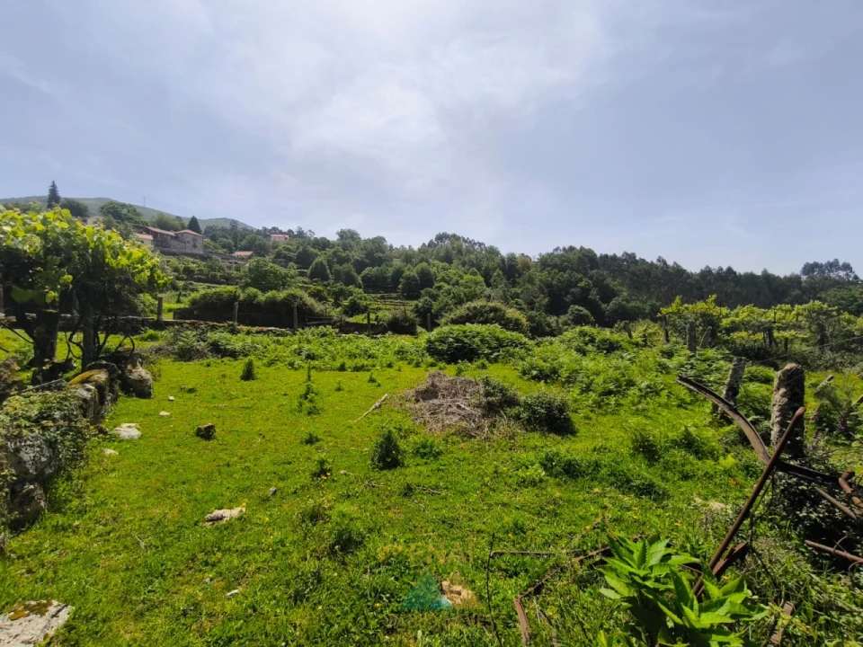 Terreno para Venda em Cabana Maior Foto 9
