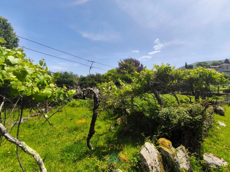 Terreno para Venda em Cabana Maior Foto 10