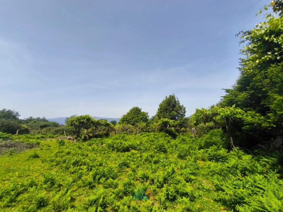 Terreno para Venda em Cabana Maior Foto 11