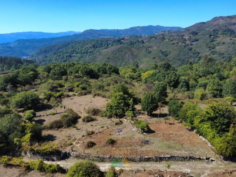 Terreno para Venda em Cabana Maior Foto 15