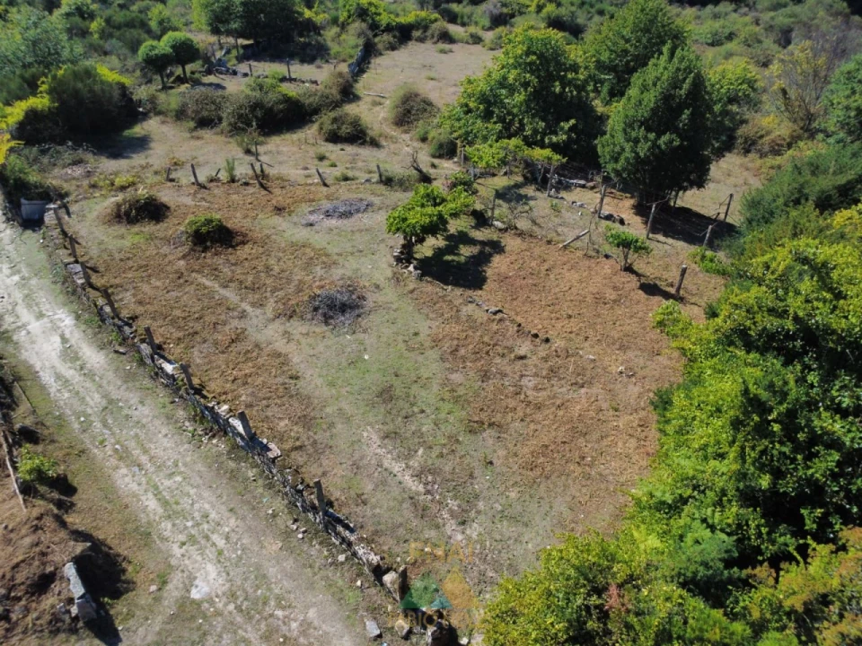Terreno para Venda em Cabana Maior Foto 21