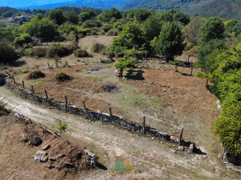 Terreno para Venda em Cabana Maior Foto 26