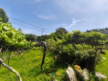 Terreno para Venda em Cabana Maior