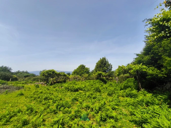Terreno para Venda em Cabana Maior Foto 11
