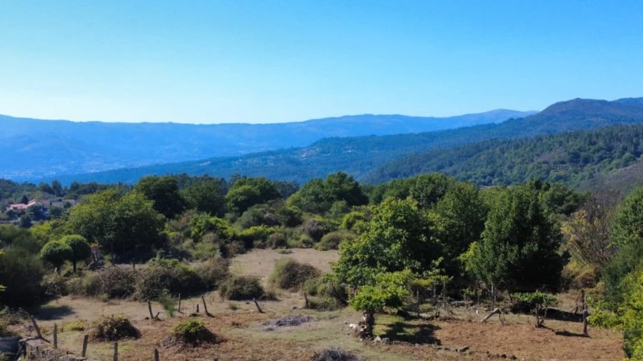 Terreno para Venda em Cabana Maior