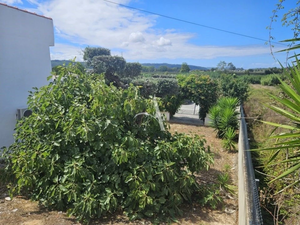Moradia T2 para Venda em Alcobaça e Vestiaria Foto 20
