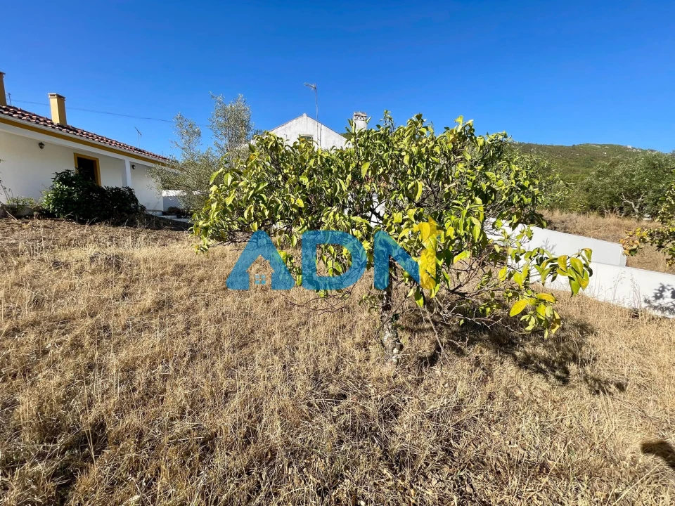 Moradia T3 para Venda em Vila Velha de Rodão Foto 60