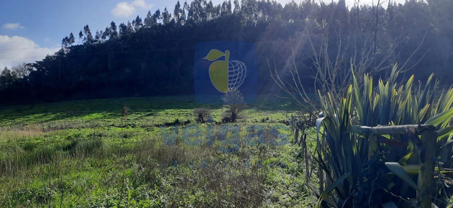 Terreno para Venda em Salir de Matos Foto 3