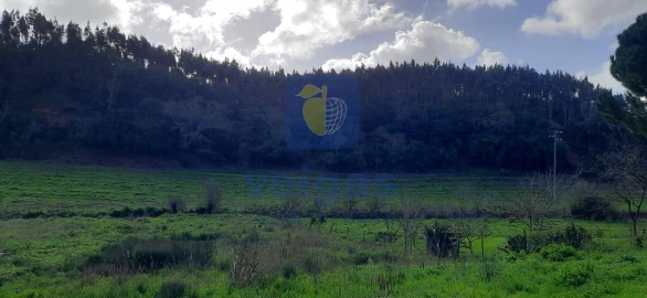 Terreno para Venda em Salir de Matos