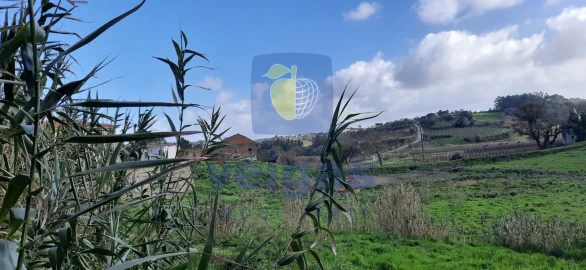 Terreno para Venda em Salir de Matos