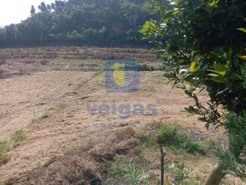 Terreno para Venda em Salir de Matos