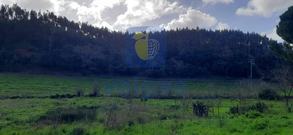 Terreno para Venda em Salir de Matos