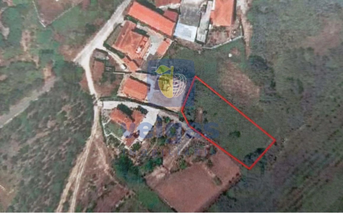 Terreno para Venda em Salir de Matos Foto 10